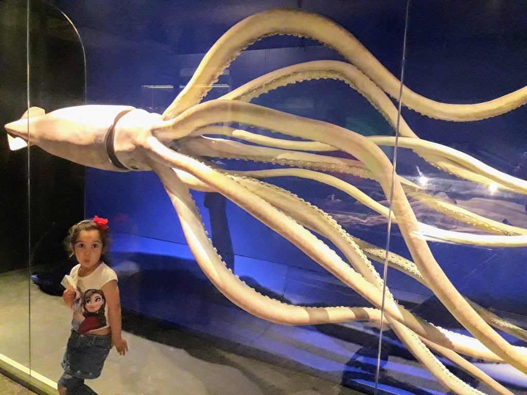 museu ciencias naturais madrid lula gigante