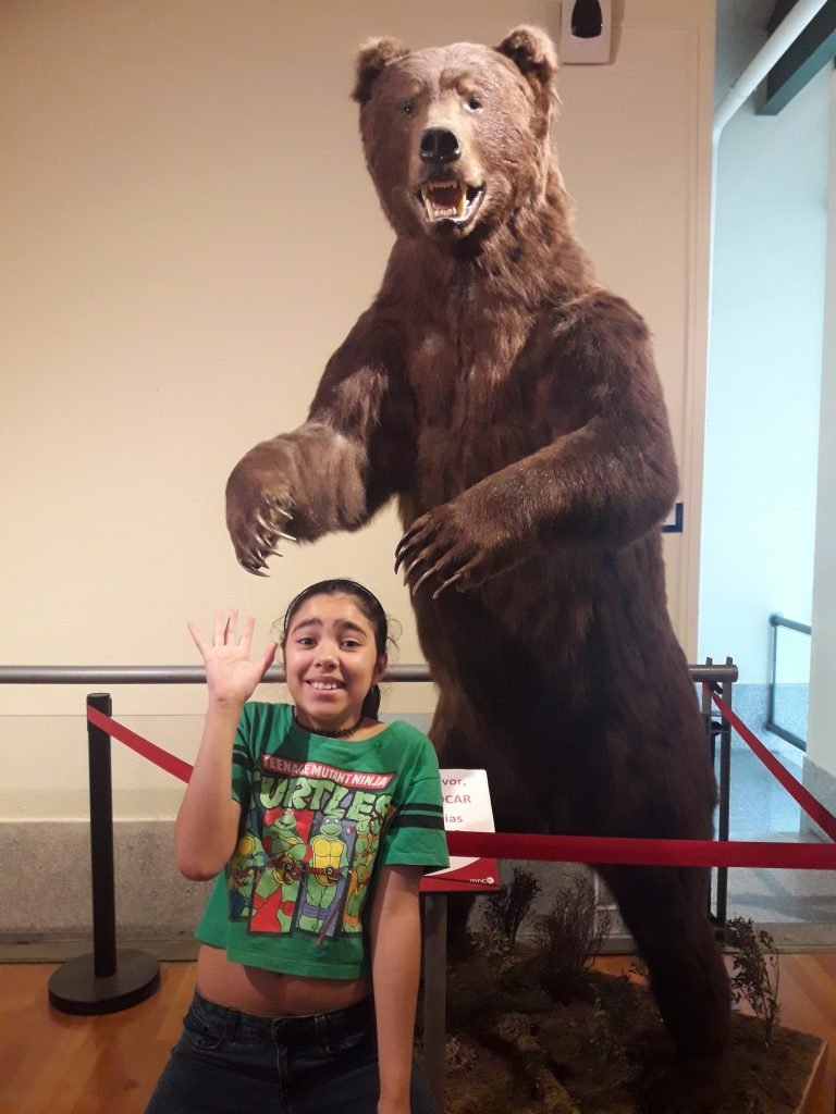 museu ciencias naturais madrid urso