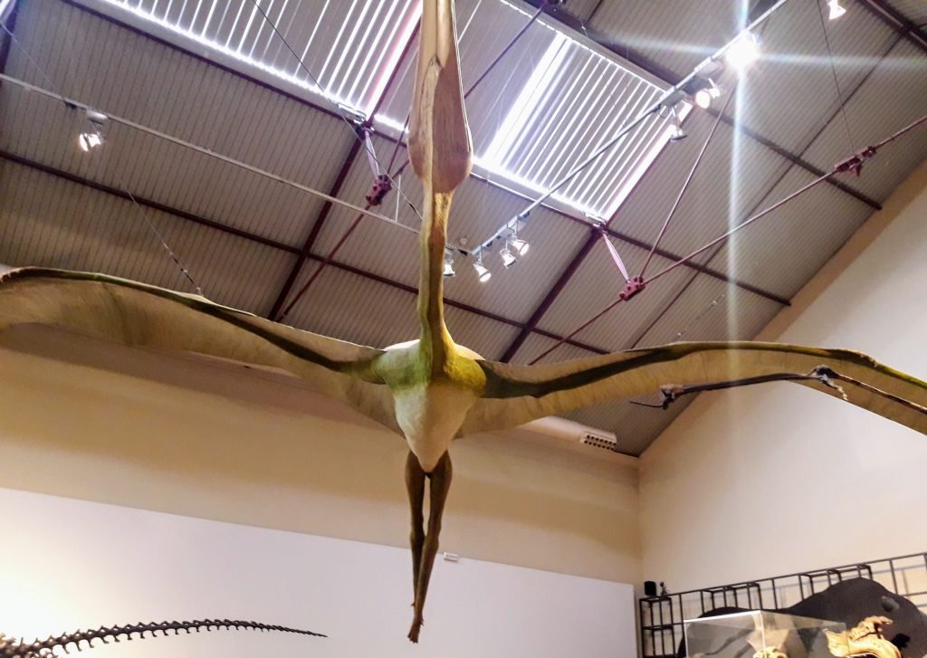 museu ciencias naturais madrid ave jurassica