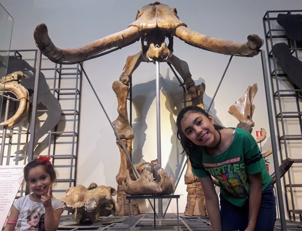 museu ciencias naturais madrid mamute